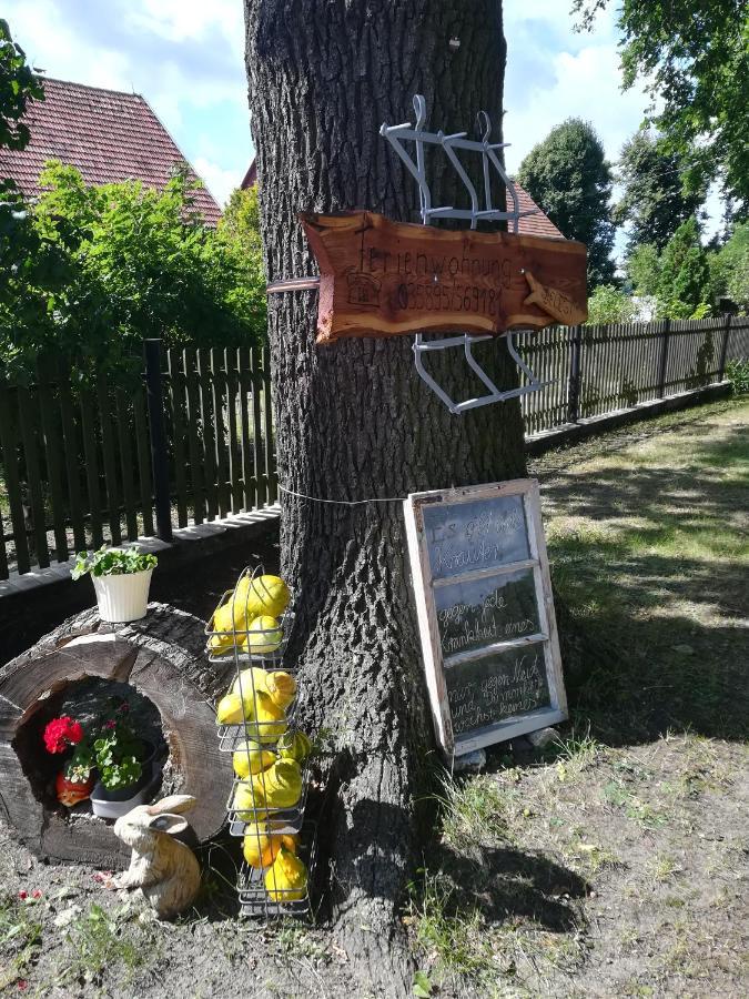 Ferienwohnung Bittner Klitten Exteriör bild